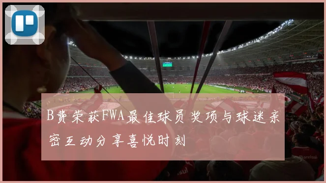 B费荣获FWA最佳球员奖项与球迷亲密互动分享喜悦时刻