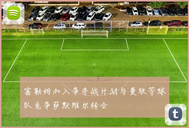 富勒姆加入争夺战计划与曼联等球队竞争萨默维尔转会