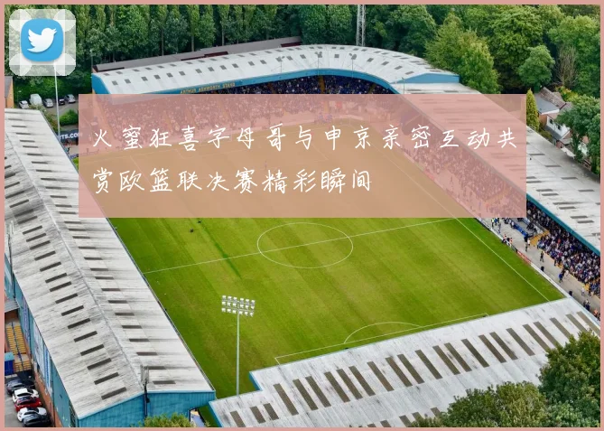 火蜜狂喜字母哥与申京亲密互动共赏欧篮联决赛精彩瞬间